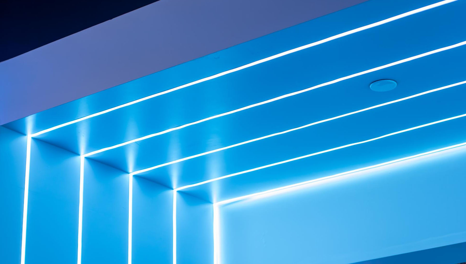 кейс по настройке и ведению рекламы в яндекс директ для салонов света